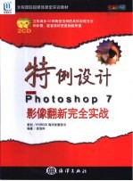 特例设计中文版Photoshop 7影像翻新完全实战