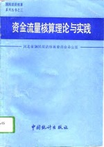 资金流量核算理论与实践