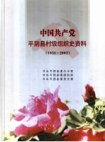 中国共产党平阴县村级组织史资料  1938-2002