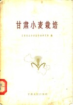 甘肃小麦栽培