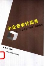 小企业会计实务  “小企业会计制度”实施指南