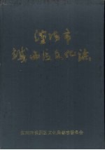 沈阳市铁西区文化志  1937-1988