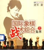 国际象棋战术组合集萃