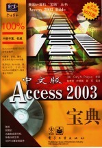 中文版Access 2003宝典