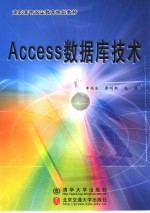 Access数据库技术