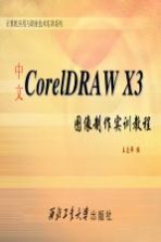 中文CorelDRAW X3图像制作实训教程