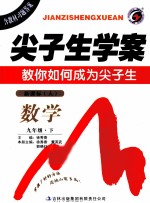 尖子生学案  数学  九年级  下  新课标  人