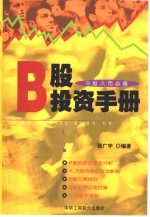 B股投资手册