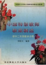 中国特级教师教案精选  初中二年级数学分册