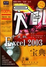 中文版Excel 2003宝典