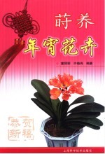 莳养年宵花卉