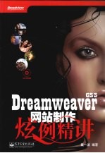 Dreamweaver CS3网站制作炫例精讲