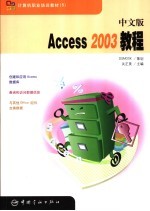 中文版Access 2003教程