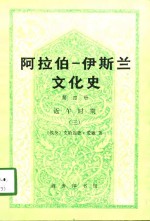 阿拉伯-伊斯兰文化史  第4册  近午时期  3