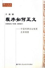 程序如何正义  中国刑事诉讼制度改革纲要