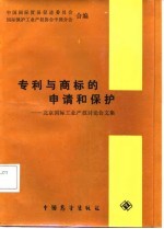 专利与商标的申请和保护  北京国际工业产权讨论会文集