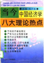 当今中国经济学八大理论热点  全国高校社会主义经济理论与实践研讨会第八次会议论文集