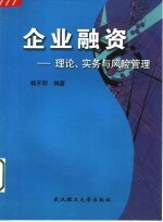 企业融资  理论、实务与风险管理