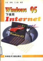 Windows 95下使用Internet