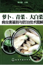 萝卜、青菜、大白菜病虫害鉴别与防治技术图解