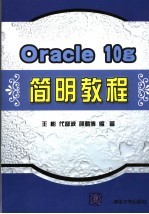 Oracle 10g简明教程