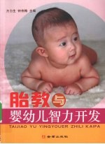 胎教与婴幼儿智力开发