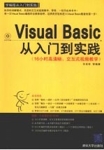 VISUAL BASIC从入门到实践