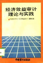 经济效益审计理论与实践