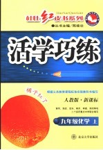 新课标活学巧练  化学  九年级  上  人教版