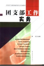 团支部工作实务