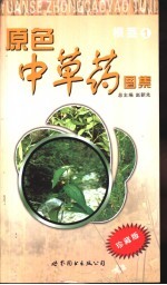 原色中草药图集  根茎  1