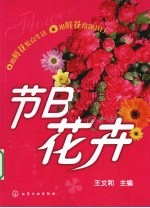 节日花卉