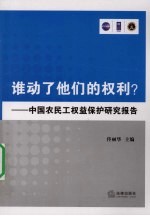 谁动了他们的权利?：中国农民工权益保护研究报告