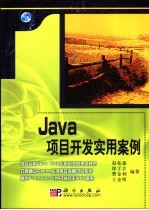 Java项目开发实用案例