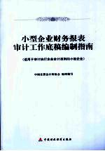 小型企业财务报表审计工作底稿编制指南