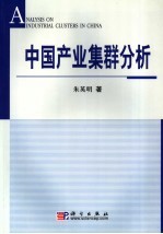 中国经济产业集群分析