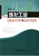 炼化工业能效管理与最佳实践