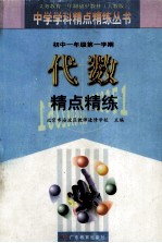 初中一年级第一学期  代数  精点精炼  第3版