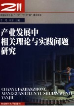 产业发展中相关理论与实践问题研究