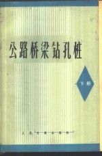 公路桥梁钻孔桩  下