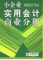 小企业实用会计  商业分册