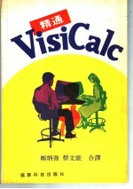 精通VisiCale