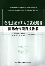 农村进城务工人员就业服务国际合作项目报告书