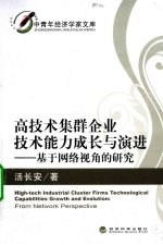 高技术集群企业技术能力成长与演进研究  基于网络视角的研究