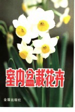 室内盆栽花卉