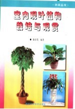 室内观叶植物栽培与观赏