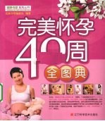 完美怀孕40周全图典