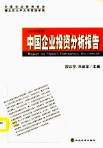 中国企业投资分析报告  2007年  2007年版