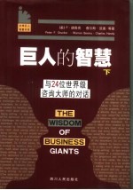 巨人的智慧  下  与24位世界级商业领袖的对话