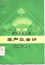 农村人民公社生产队会计